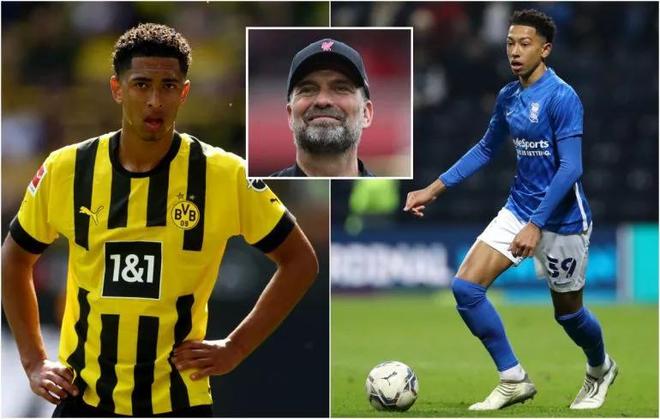 电讯报：曼联执意追求谢什科的做法显得有些奇怪