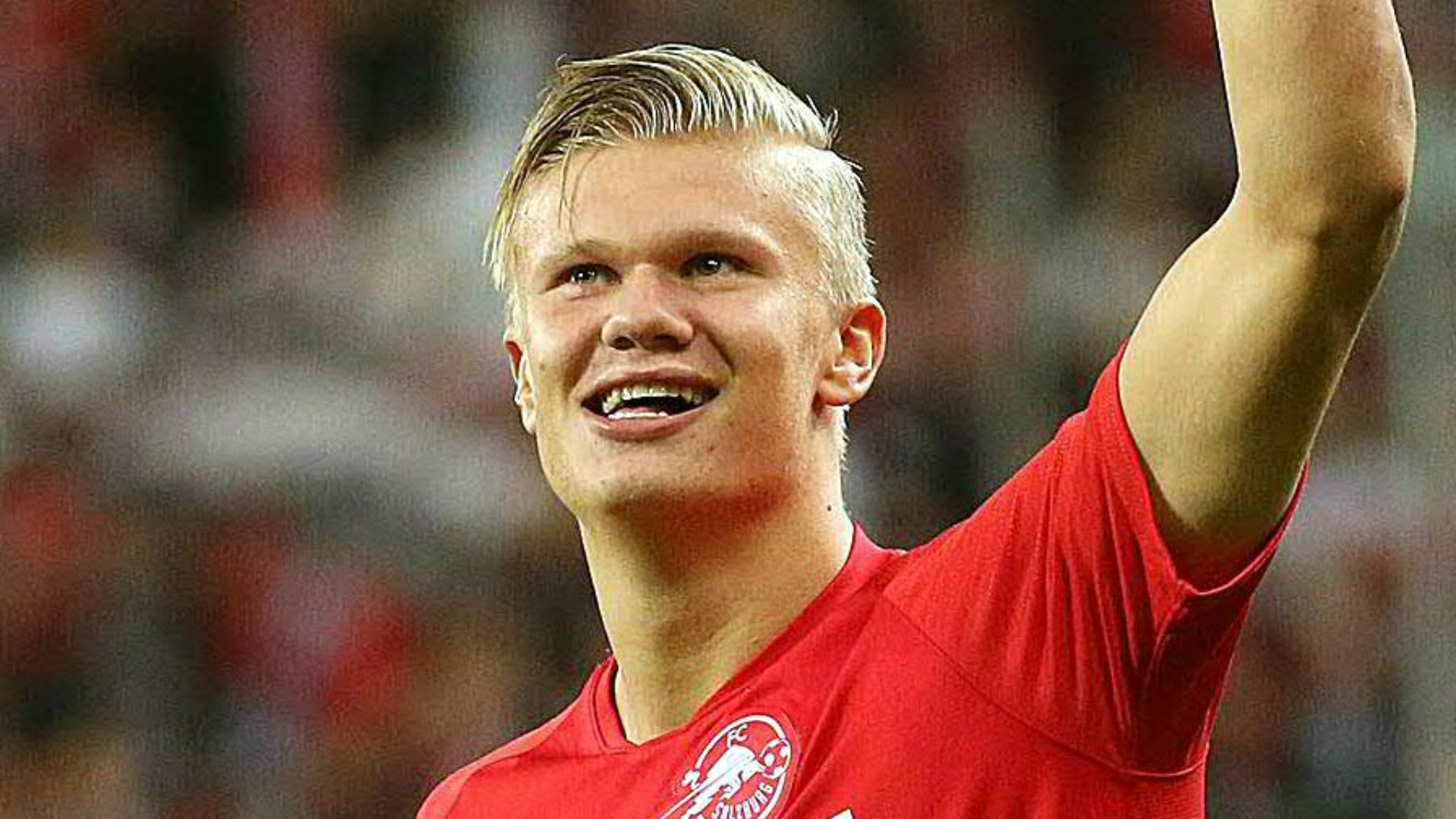 关于瑞士的Freimann三兄弟的名字，这次应该...